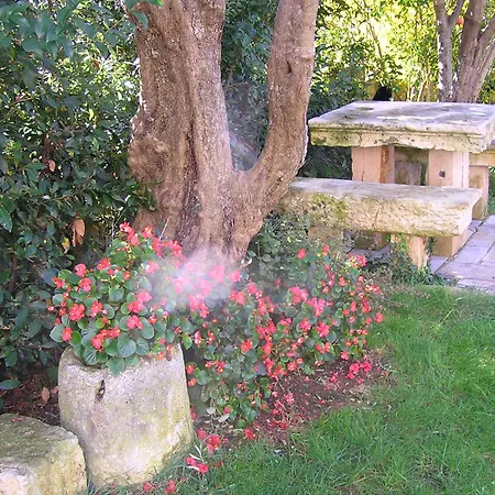Paloma Blanca 1 *