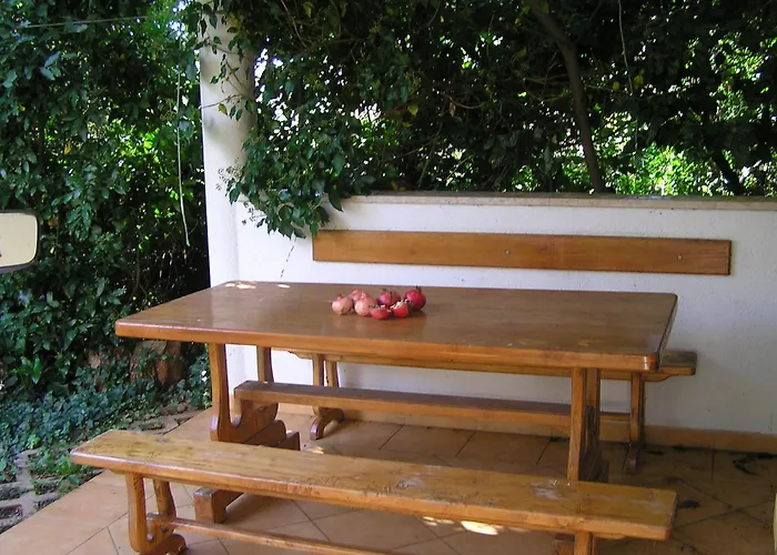 Paloma Blanca 1 메덜린