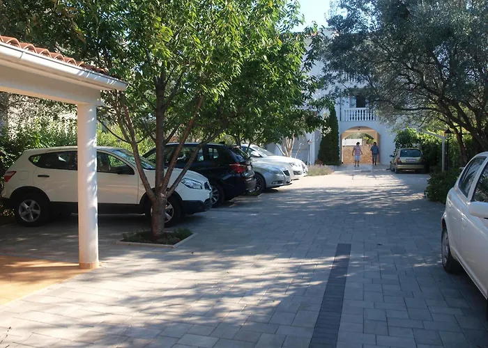 Paloma Blanca 1 메덜린