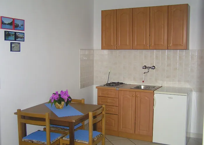 Paloma Blanca 1 메덜린